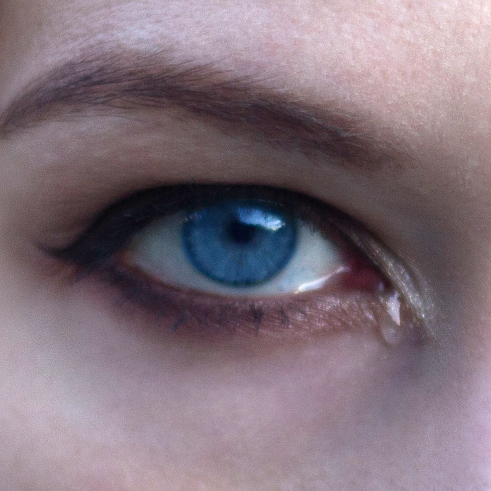 Una golondrina no hace un verano