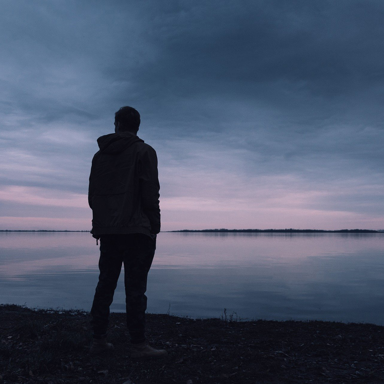 Juntas medicas y mariposas